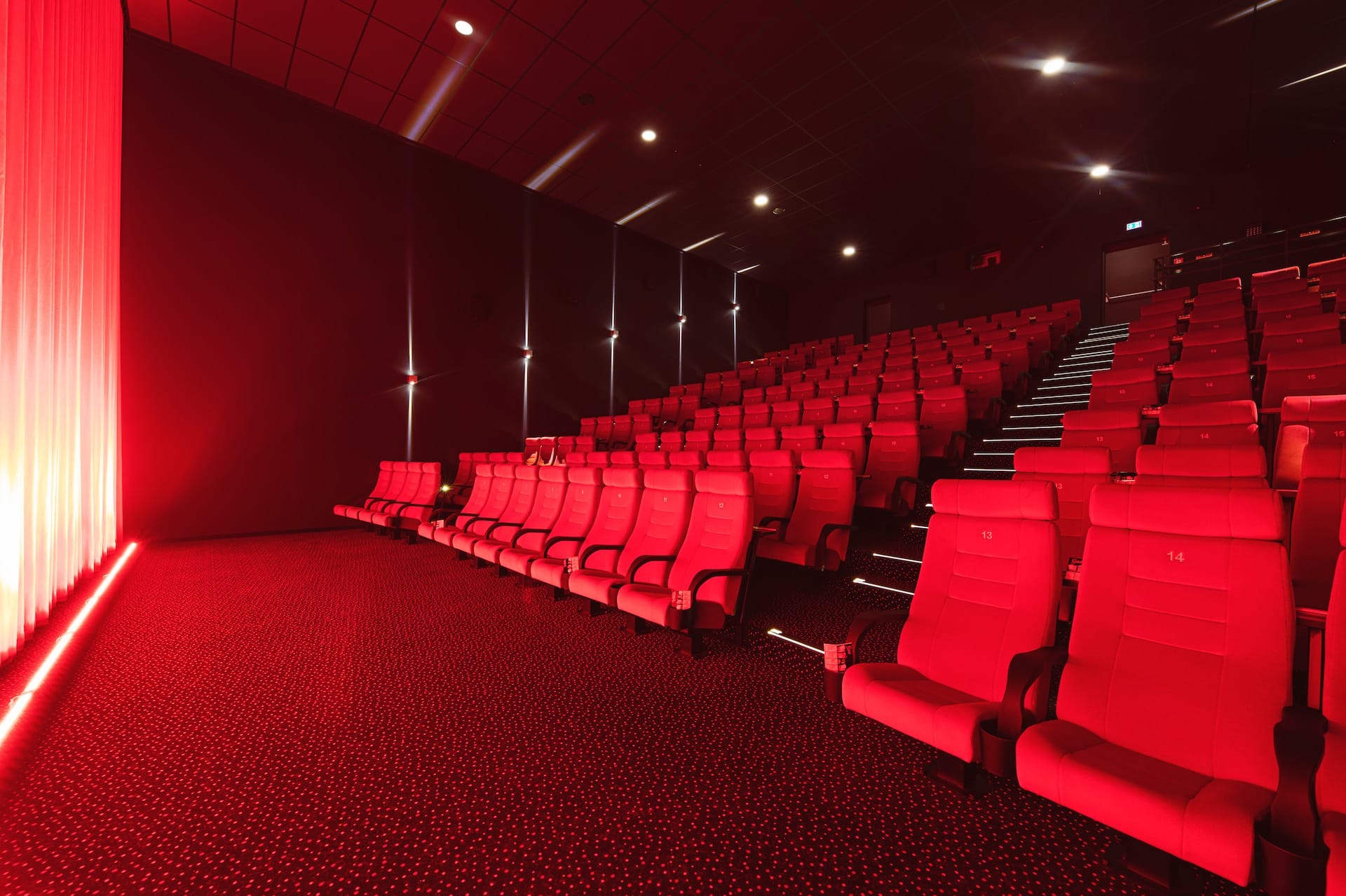 Kino MaeganAniello